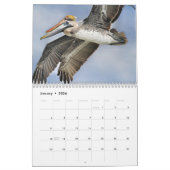 ペリカンのカレンダー カレンダー (1月 2026)