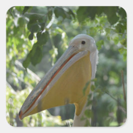 ペリカンのステッおもしろいク スクエアシール