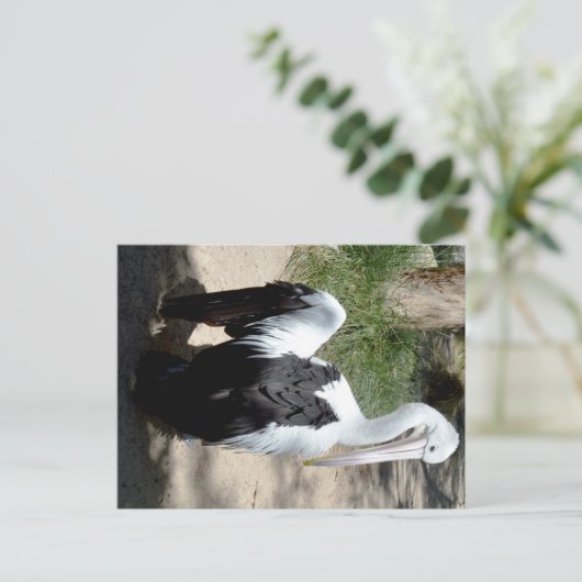 ペリカンのプレエンへの時間はがき ポストカード (スタンド正面)