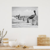 ペリカンのポスター ポスター (キッチン)