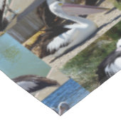 ペリカンの写真コラージュ テーブルクロス (アングル)