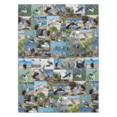 ペリカンの写真コラージュ テーブルクロス (正面)