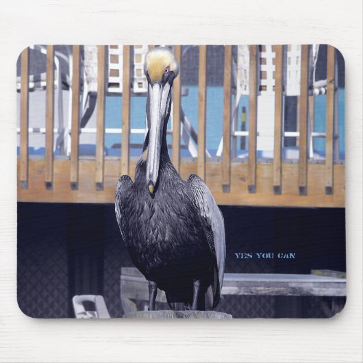 ペリカンの力 マウスパッド (正面)