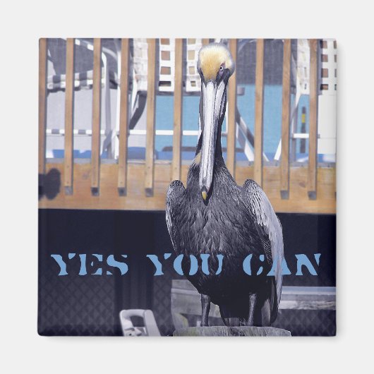 ペリカンの力 マグネット (正面)