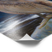 ペリカンの夕焼けの目 フォトプリント            (角)