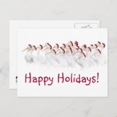 ペリカンの幸せな休日の郵便はがき! シーズンポストカード (正面/裏面)