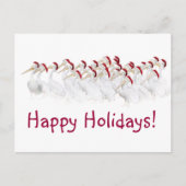 ペリカンの幸せな休日の郵便はがき! シーズンポストカード (正面)