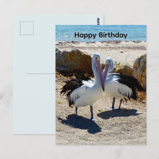 ペリカンの恋、誕生日ポストカード ポストカード (正面/裏面)