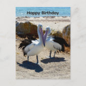 ペリカンの恋、誕生日ポストカード ポストカード (正面)