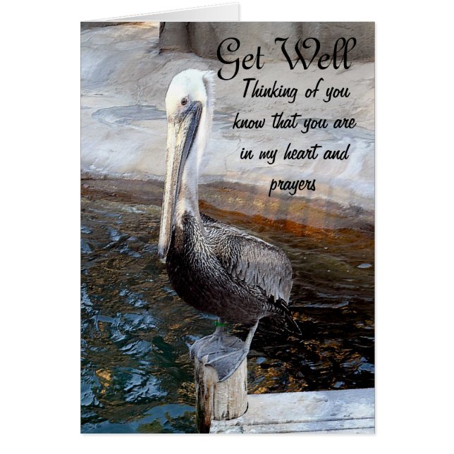 ペリカンの愛,-オケージョンズ_ (正面)