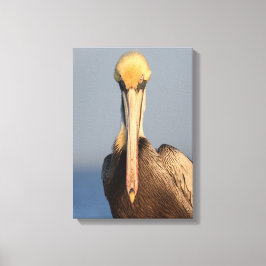 ペリカンの態度 キャンバスプリント