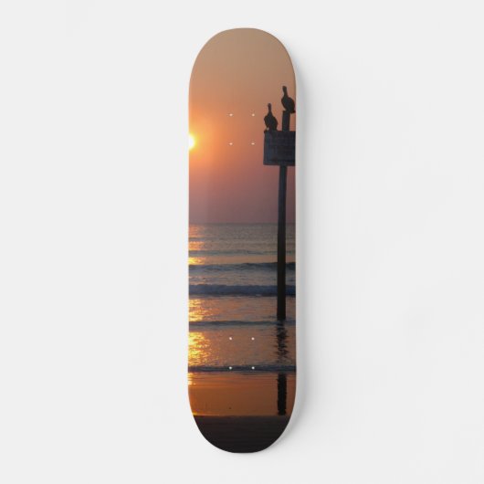 ペリカンの日の出の海のDaytona Beach FLのスケートボード スケートボード (正面)