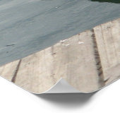 ペリカンの水中での水泳 ポスター (角)