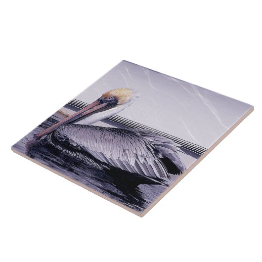 ペリカンの滑空 タイル (側面)