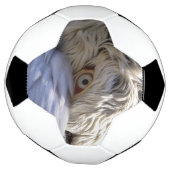 ペリカンの目 サッカーボール (回転)