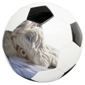 ペリカンの目 サッカーボール (3/4)
