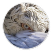 ペリカンの目 セラミックノブ (正面)