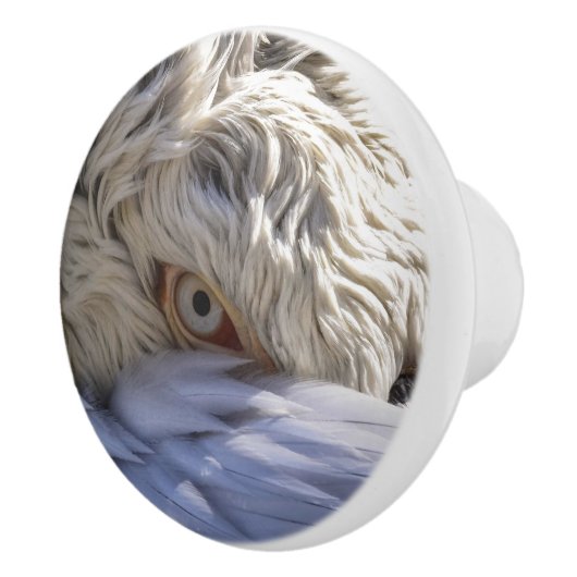 ペリカンの目 セラミックノブ (右)