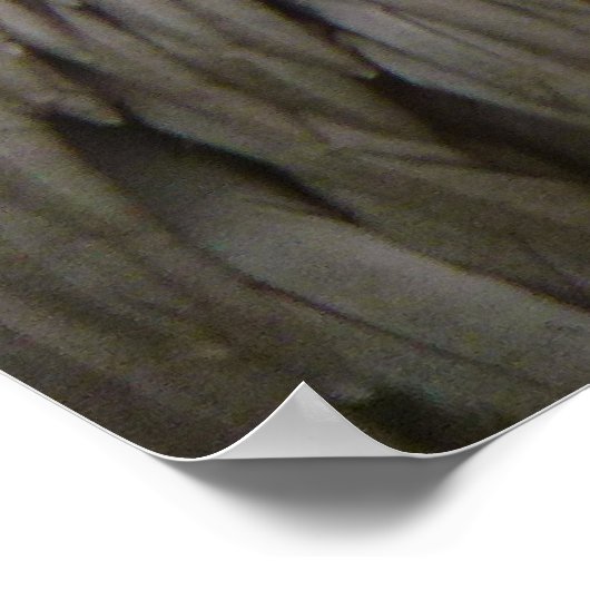 ペリカンの羽抽象芸術自然写真 ポスター (角)