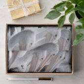 ペリカンの莢 薄葉紙 (ギフト)