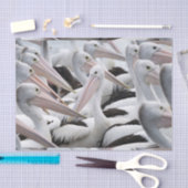 ペリカンの莢 薄葉紙 (クラフト)