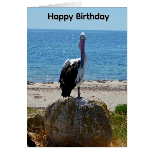 ペリカンの見つめる誕生日カード (正面)