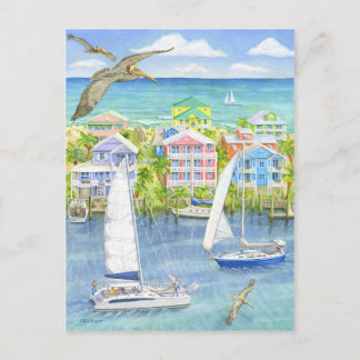 ペリカンの視点 ポストカード