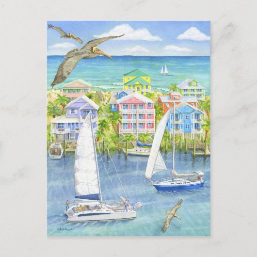 ペリカンの視点 ポストカード (正面)