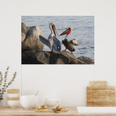 ペリカンの議論 – それともジョークだったか？ ポスター (キッチン)