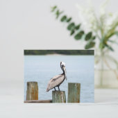 ペリカンの郵便はがき ポストカード (スタンド正面)