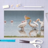 ペリカンの雑談のイメージのティッシュペーパー 薄葉紙 (クラフト)