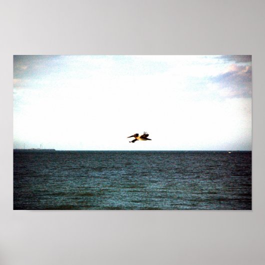 ペリカンの飛行 ポスター (正面)