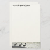 ペリカンの鳥の野性生物動物 便箋 (正面/裏面)