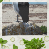 ペリカンはビーチの岩の上に立っていた キッチンタオル (折り畳み)