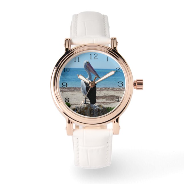 ペリカンはビーチの岩の上に立っていた 腕時計 (正面)