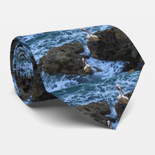 ペリカンは海の岩の上に ネクタイ (ロール)