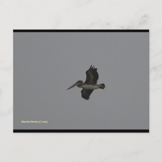 ペリカンアットミラマー | ブルービーチソング™はがき ポストカード (正面)