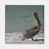 ペリカンオンザビーチ写真 マグネット (正面)