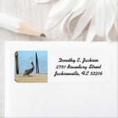 ペリカンオンザピアCuracao写真差出人住所 ラベル (インサイチュ)