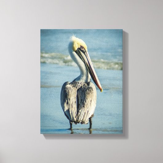 ペリカンオンザフロリダビーチ キャンバスプリント (正面)