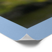 ペリカンオンブルー ポスター (角)