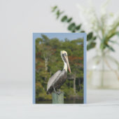 ペリカンオンブルー ポストカード (スタンド正面)