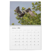 ペリカンカレンダー2026 カレンダー (1月 2026)