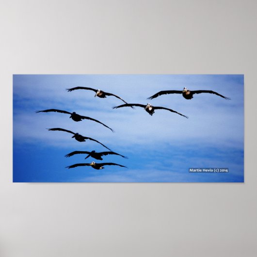 ペリカンクラスターIV ポスター (正面)