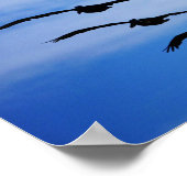 ペリカンクラスターIV ポスター (角)