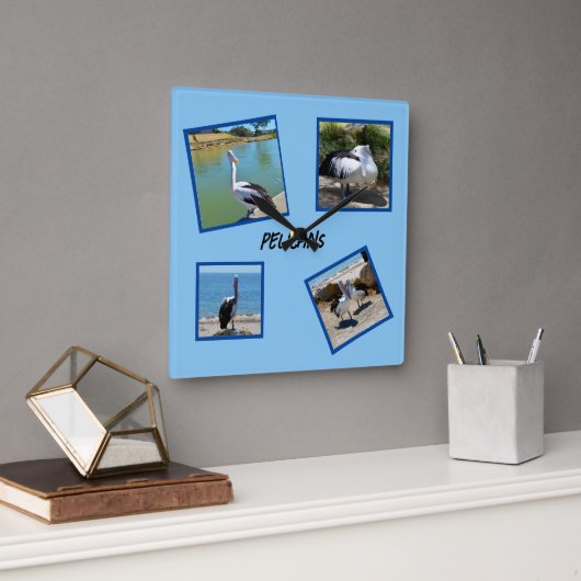 ペリカンクールズ・ザ・ワールド・バード スクエア壁時計 (オフィス)