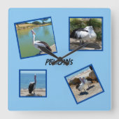 ペリカンクールズ・ザ・ワールド・バード スクエア壁時計 (正面)