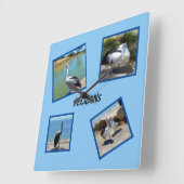 ペリカンクールズ・ザ・ワールド・バード スクエア壁時計 (傾斜)