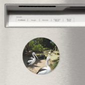 ペリカンサンクチュアリ冷蔵庫用マグネット マグネット (インサイチュ (食洗機))