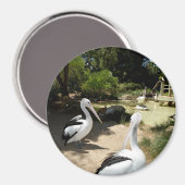 ペリカンサンクチュアリ冷蔵庫用マグネット マグネット (正面/裏面)